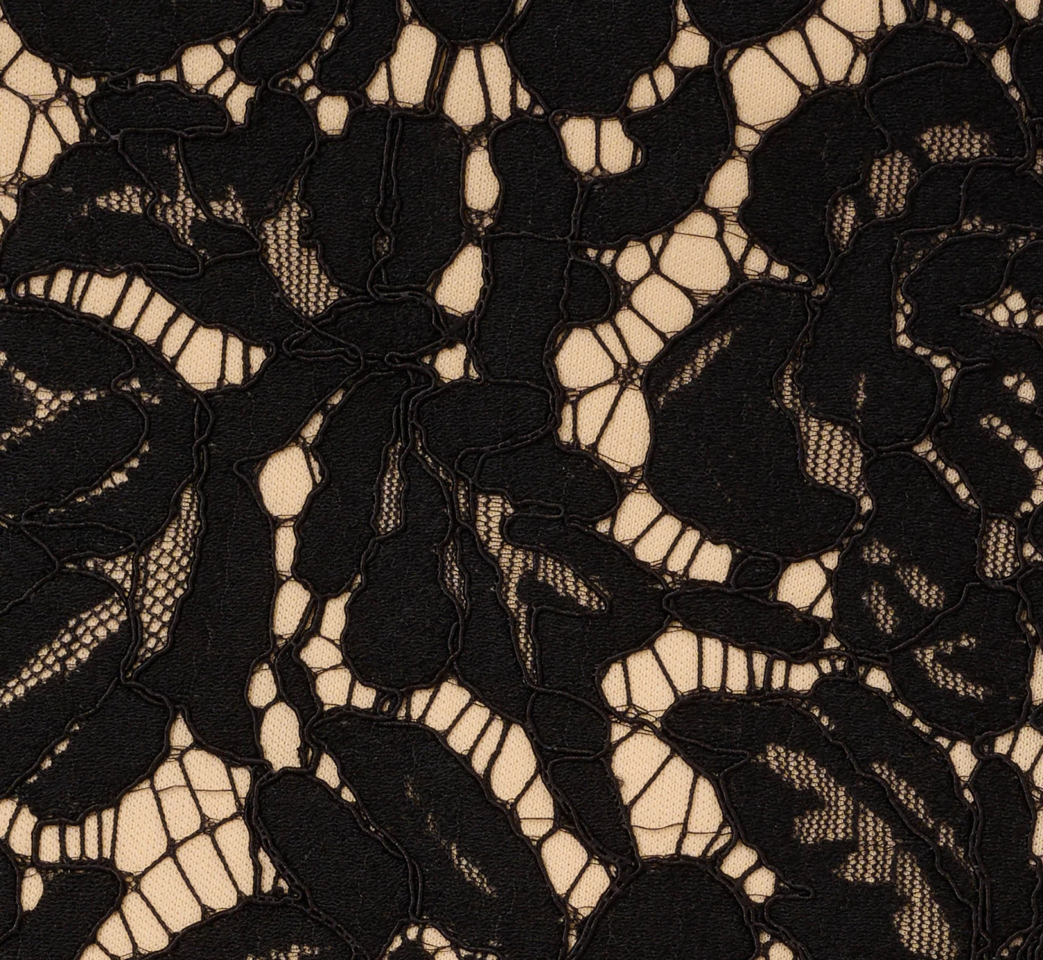 Cap Sleeve Lace Cocktail Dress With Feather Trim In Black Nude 7 Cap Sleeve Lace Cocktail Dress With Feather Trim In Black Nude - Image 7