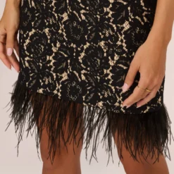 Cap Sleeve Lace Cocktail Dress With Feather Trim In Black Nude 11 Cap Sleeve Lace Cocktail Dress With Feather Trim In Black Nude -Glam Mirth Sales ADAE211264 AB263 Regular Lifestyle