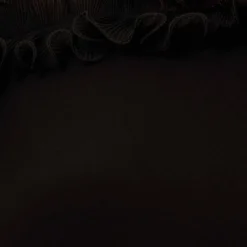 Adrianna Papell Plus Size Signature Blouson Jumpsuit In Black -Glam Mirth Sales AP1D104323 AA002 Plus Alternate