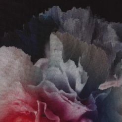 Adrianna Papell Plus Size Floral Printed Jumpsuit In Black Multi 11 Adrianna Papell Plus Size Floral Printed Jumpsuit In Black Multi -Glam Mirth Sales AP1D104440 AA963 Plus Alternate