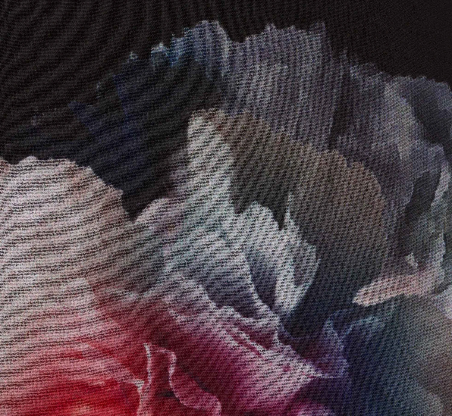 Adrianna Papell Plus Size Floral Printed Jumpsuit In Black Multi 6 Adrianna Papell Plus Size Floral Printed Jumpsuit In Black Multi - Image 6