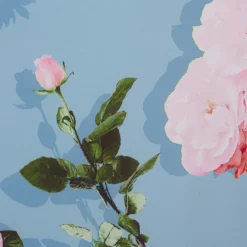 Adrianna Papell Floral Print Crepe De Chine Midi-Length Dress In Blue Multi 12 Adrianna Papell Floral Print Crepe De Chine Midi-Length Dress In Blue Multi -Glam Mirth Sales AP1D104960 AA461 Regular Alternate