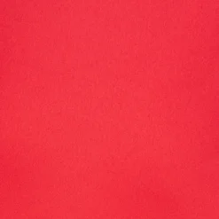 Adrianna Papell Satin Crepe Jumpsuit With Ruffled Shoulders In Calypso Coral 12 Adrianna Papell Satin Crepe Jumpsuit With Ruffled Shoulders In Calypso Coral -Glam Mirth Sales AP1D104994 AD952 Regular Alternate