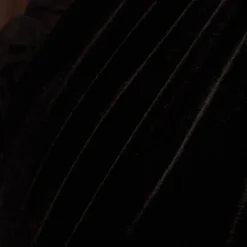 Adrianna Papell Mock Neck Velvet Dress With Sheer Short Sleeves In Black 11 Adrianna Papell Mock Neck Velvet Dress With Sheer Short Sleeves In Black -Glam Mirth Sales AP1D105096 AA002 Regular Alternate