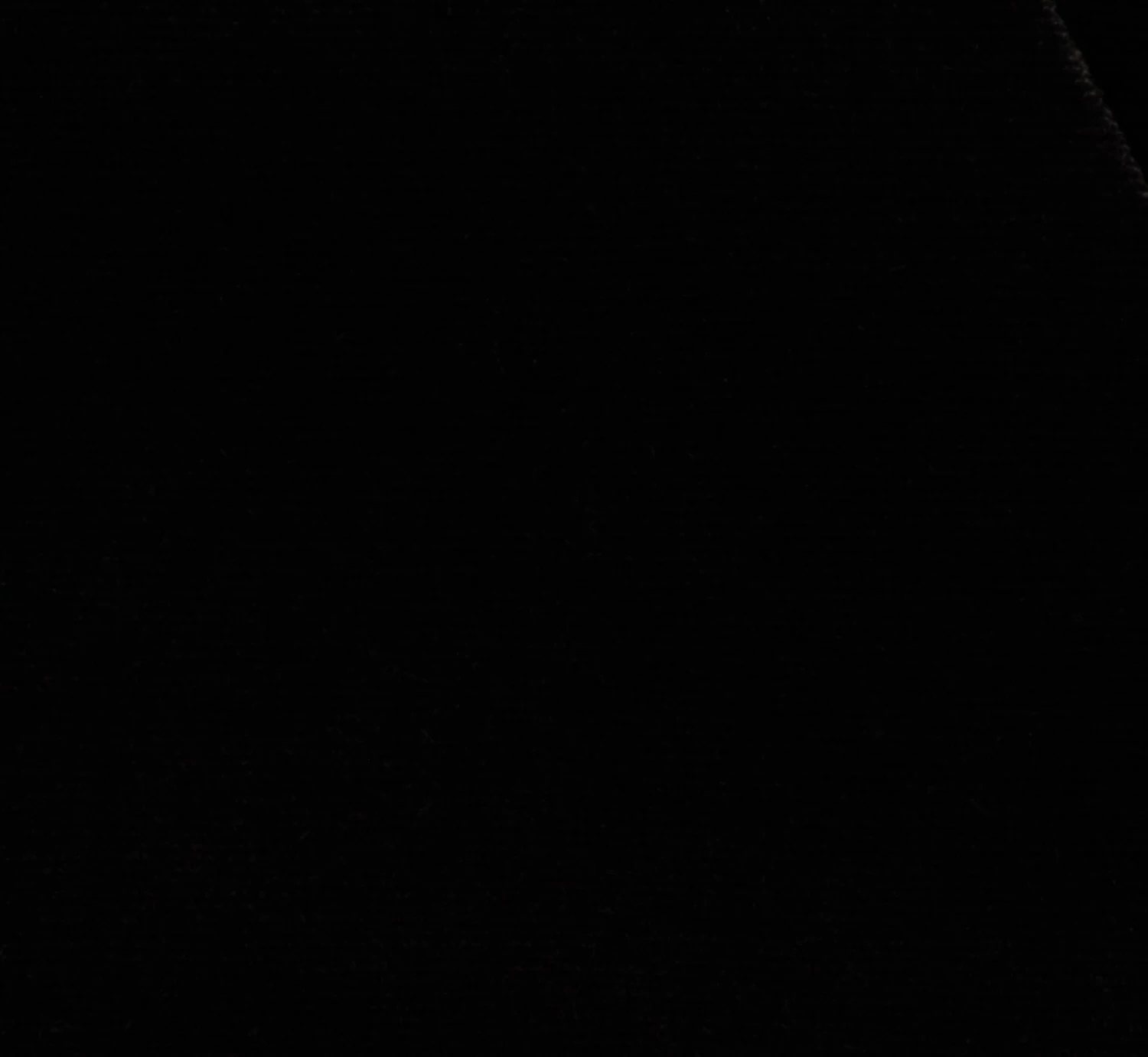 Adrianna Papell Short Sleeve Velvet Pleated Midi Dress In Black 5 Adrianna Papell Short Sleeve Velvet Pleated Midi Dress In Black - Image 5