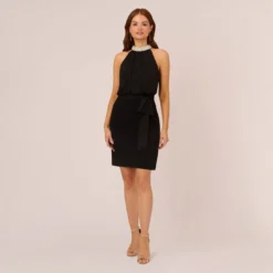 Adrianna Papell Jersey Blouson Dress With Pearl Mock Neck And Tie Waist In Black 13 Adrianna Papell Jersey Blouson Dress With Pearl Mock Neck And Tie Waist In Black -Glam Mirth Sales AP1E210524 AA002 Regular Front
