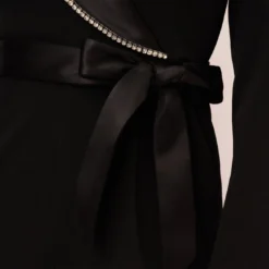 Adrianna Papell Long Sleeve Tuxedo Jumpsuit With Crystal Trim In Black 10 Adrianna Papell Long Sleeve Tuxedo Jumpsuit With Crystal Trim In Black -Glam Mirth Sales AP1E210678 AA002 Regular Lifestyle