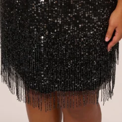 Adrianna Papell Plus Size Beaded Fringe Dress With Sheer Short Sleeves In Black -Glam Mirth Sales AP1E211010 AA002 Plus Lifestyle