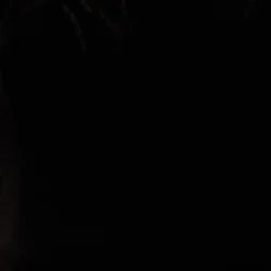 Feather Trimmed Strapless Velvet Jumpsuit In Black 11 Feather Trimmed Strapless Velvet Jumpsuit In Black -Glam Mirth Sales MN1E207614 AA002 Regular Alternate