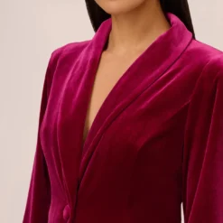 Long Sleeve Velvet Tuxedo Dress With Feather Hem In Magenta 9 Long Sleeve Velvet Tuxedo Dress With Feather Hem In Magenta -Glam Mirth Sales MN1E208384 AA520 Regular Detail